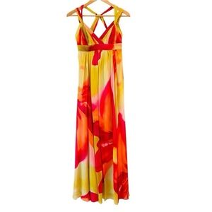 BCBG Women’s Y2K Silk Floral Chiffon Ibiza Maxi Dress Size 6 Maximalist